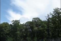 2005_1000_km_di_monza_lmes_-060