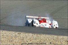 IMG_1974