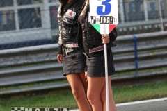 081012pb_monza_etcs_127