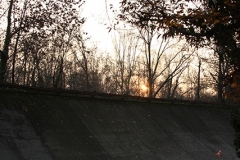 091129pb_monza_rally_12