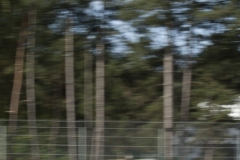 20110410pb_zolder_fiagt_20