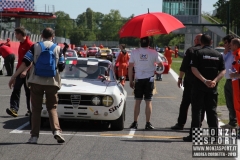 Autodromo di Monza - Coppa Intereuropea Auto Storiche 2013_46