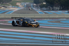 Autodromo di Monza - Le Castelet Paul Ricard Test BlancPain Endurance Series 2014_20