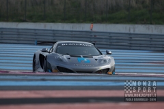 Autodromo di Monza - Le Castelet Paul Ricard Test BlancPain Endurance Series 2014_38