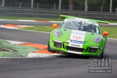 Autodromo di Monza - Campionato Italiano GT 2014_41
