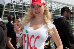 Autodromo di Monza - Monza Ferrari Challenge 2015_27