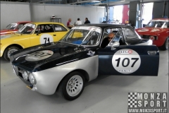 Autodromo di Monza - Monza Historic Peter Auto 2015_121