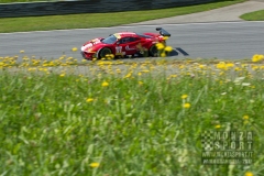 Autodromo di Monza - RedBull Ring ELMS 2017_26
