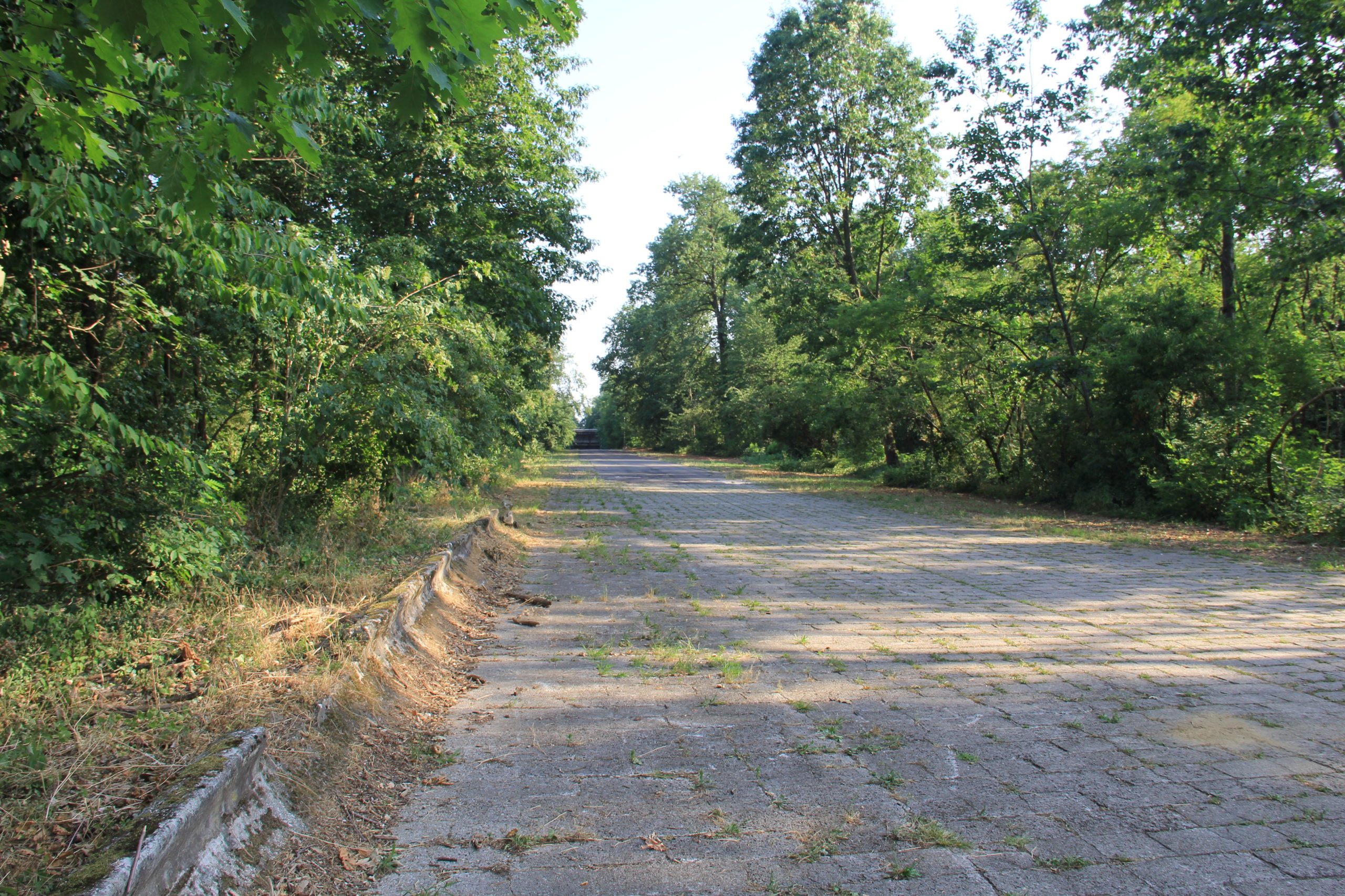 Il circuito Pirelli e la Curva Nord-Est dell'Autodromo Nazionale Monza - Monzasport Autodromo di Monza Online dal 1999